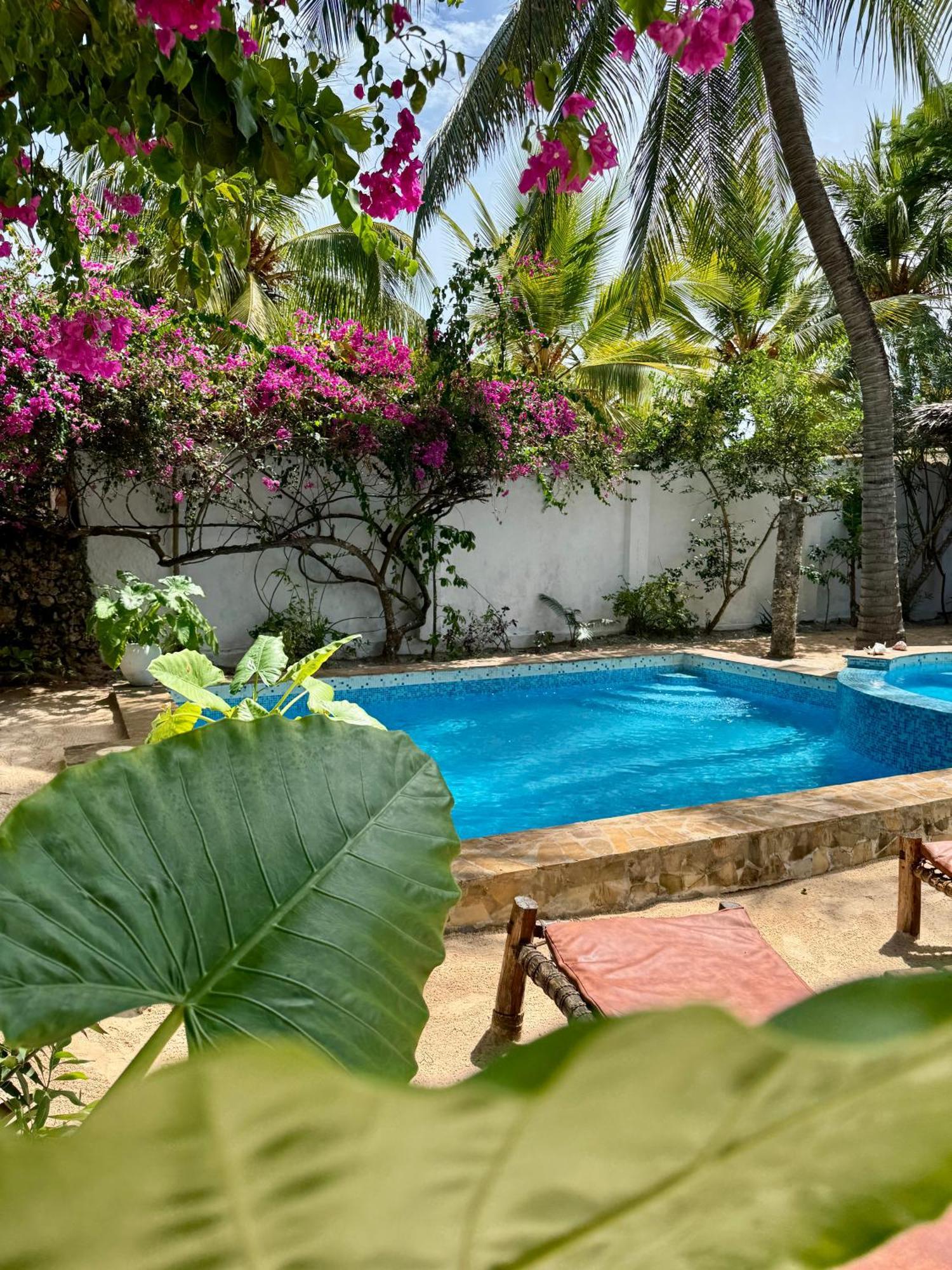 Kipara - On The - Private Pool & Jacuzzi * Pwani Mchangani