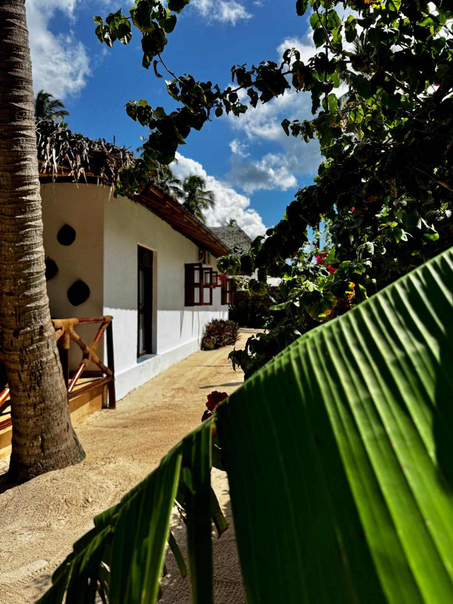 Kipara - On The - Private Pool & Jacuzzi Villa Pwani Mchangani